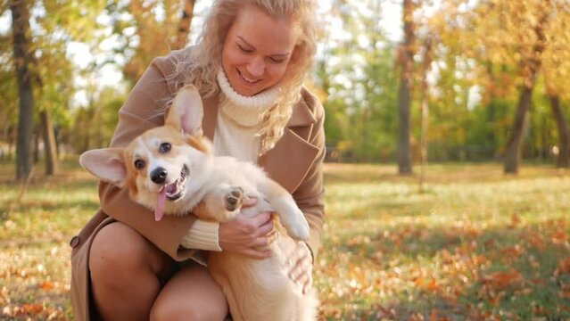 woman in an autumn park hugs her corgis, love and care for pets, sunny weather. puppy