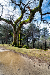 Garganta de la Graja en Gredos