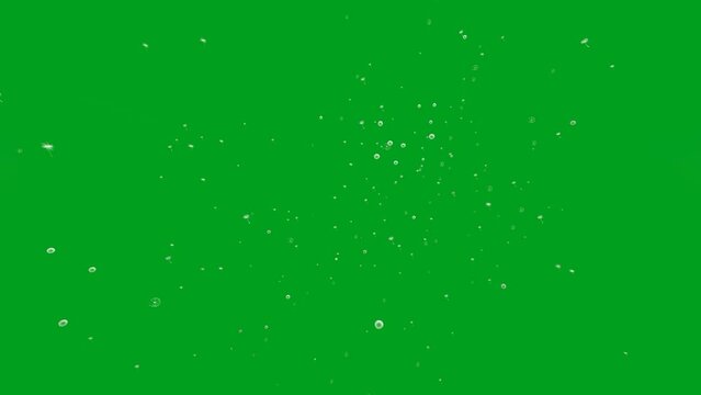 Green screen animation video of flower pollen flying in the wind