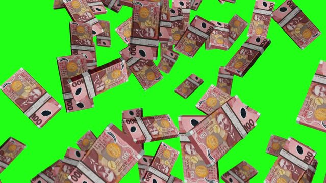 New Zealand Dollar 100 NZD Banknote Packs Falling Loop. New Zealand Money Note Fall. 3D Seamless Looped Isolated Abstract Concept Of Economy, Finance, Crisis, Success And Banking. Green Screen.