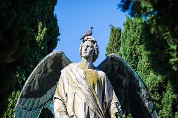 La statua di un angelo su una tomba del cimitero monumentale di San Michele a Venezia con un...