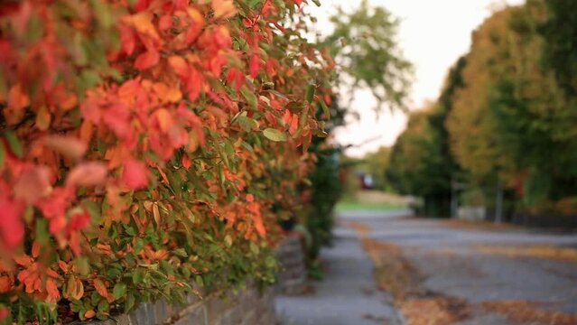 Street in Berga. Autumn in Link&ouml;ping 