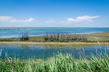 Paesaggio con barene e canali nella laguna nord di Venezia vicino a Lio Piccolo in una giornata primaverile di sole
