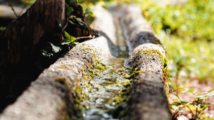 Water that flows from the spring in the mountains and descends through a gutter