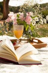 lifestyle,picnic,snack or breakfast in the open air on the shore of the lake decorated with flowers,fruit and reading the book to relax and enjoy
