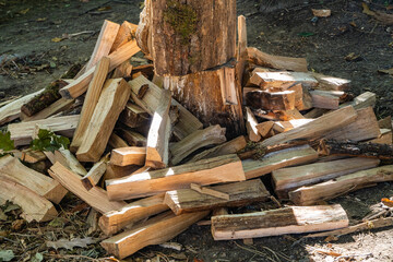 Huge pile of chopped oak firewood. Alternative and cheap fuel for stove instead of gas. Stack of firewood lies on ground after cutting. Close-up of chopped firewood,	