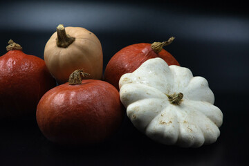 fall still life composition of various squashes, butternut, pumpkins, pattypan squash, studio shot, black background