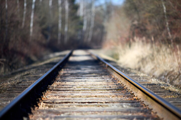 Fototapeta premium Selective focus on going straight railway abandoned rusty near spring forest. Empty turning single track of railways. Shallow focus perspective view of going ahaid rails.
