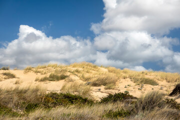 Guincho beach sand dunes