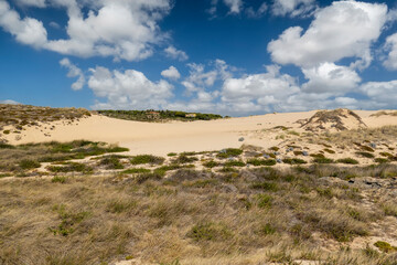 Fototapeta premium Guincho beach sand dunes