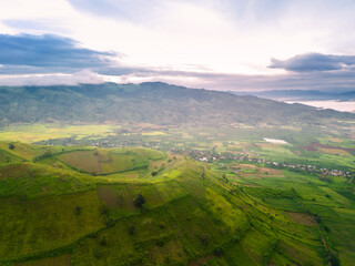 Fototapeta premium Aerial view of Bien Ho Che or Bien Ho tea fields, Gia Lai province, Vietnam. Workers of the tea farm are harvesting tea leaves in the early morning.