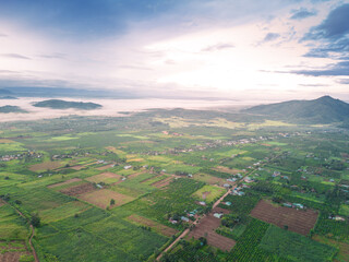 Obraz premium Aerial view of Bien Ho Che or Bien Ho tea fields, Gia Lai province, Vietnam. Workers of the tea farm are harvesting tea leaves in the early morning.