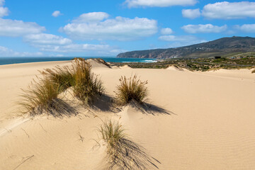 Guincho beach sand dunes