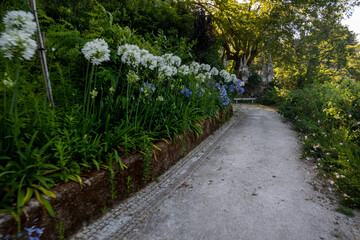 Beautiful park of Chalet Biester landmark location - obrazy, fototapety, plakaty