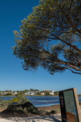 Obraz premium Landscape view of the marshlands of Ria Formosa