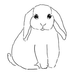 Cute doodle bunny, funny white rabbit line art vector illustration