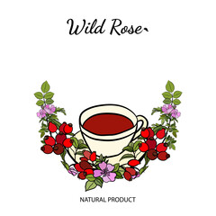 Hand drawn wild rose branch, leaf, flower and berry. Collection of dog rose: branch of roseship, dog rose berries, flowers and leaves. Cosmetic and medical plant. Botanical illustration with line art.