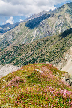 Fairy Meadows Nanga Parbat Beautiful Landscape Mountains View