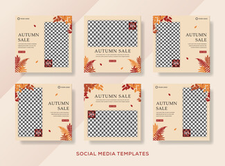 autumn fashion sale template background. premium vector