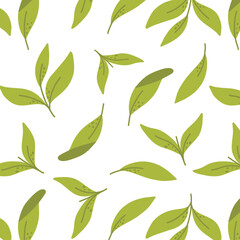 Seamless pattern with green tea leaves. Vector illustration. Pattern with matcha green tea.