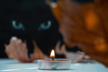 A burning candle stands on the table and a circle of dry autumn leaves. Glowing eyes are visible in...