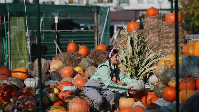 Farmer woman in a denim jumpsuit chooses ripe pumpkin