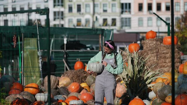 Farmer woman in a denim jumpsuit chooses ripe pumpkin