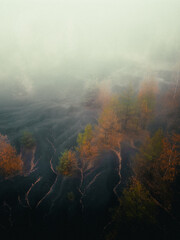 Aerial photo of moon landscape and trees on foggy day