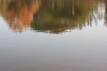 reflections in water