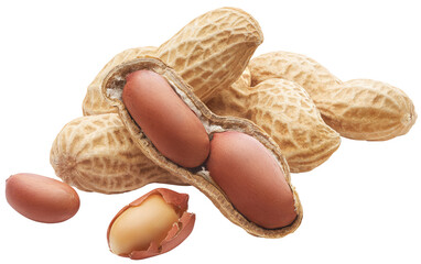 Group of peeled, unpeeled and opened shell peanuts