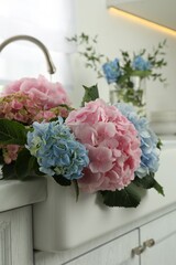 Beautiful light blue and pink hortensia flowers in kitchen sink