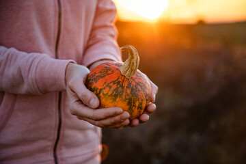 woman holding pumpkins in autumn sunlight