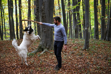 Obraz premium man and dog playing in autumn forest