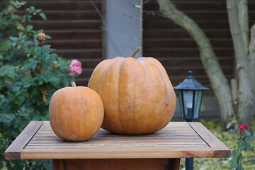 pumpkin on a table