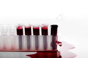 Broken blood sample PCR tube or red liquid on PCR plate in the laboratory- biochemistry- molecular biology- genetics and clinical chemistry concept- isolated on white background