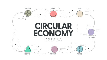 7R circular economy principles concept for economic sustainability of production and consumption has 7 steps to analyze such as reduce, recycle, recover, repair, redesign, reuse and renovate. Vector.