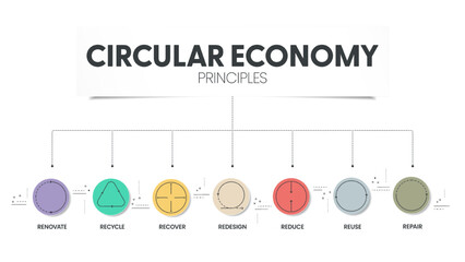 7R circular economy principles concept for economic sustainability of production and consumption has 7 steps to analyze such as reduce, recycle, recover, repair, redesign, reuse and renovate. Vector.
