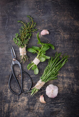 Rosemary, thyme and basil. Fresh garden herbs