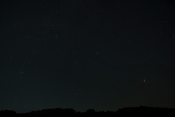 Fototapeta na wymiar night sky with stars, dark forest and black silhouette of trees as background