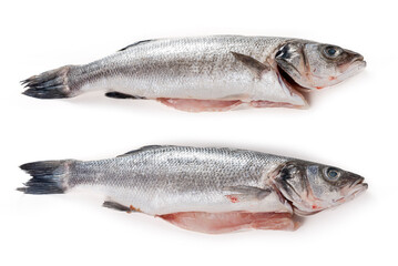 Sea bass fish. Two peeled raw sea bass on a white background