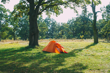 Orange tent for camping and hiking, forest camping, green lawn