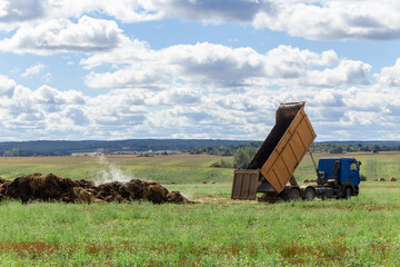 A dump truck unloads manure brought from a livestock farm into the field.
