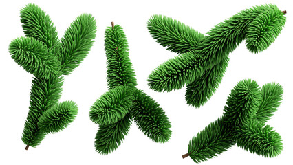 Christmas tree elements, 3d render, spruce twigs set, coniferous clip art collection,