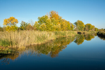 View of the Kiskunsag main channel with the colourful trees reflecting in the water near Tass village and municipality in Bacs-Kiskun county, in the Southern Great Plain region of southern Hungary