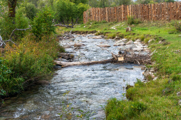 a small and calm mountain river in the green thickets.