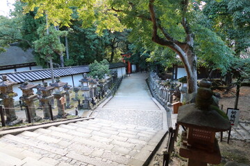 Obraz premium A Japanese shrine : a scene of the precincts of Kasuga-taisha Shrine in Nara City in Nara Prefecture 奈良県奈良市にある春日大社境内の風景
