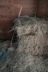 Rake leaning on a pile of hay bales inside a shed. Wood planks in background. 