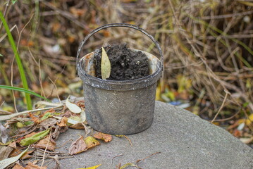 one old dirty gray plastic bucket with black earth stands on concrete in the street among brown dry vegetation