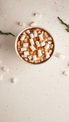 Fototapeta na wymiar marshmallow cocoa, cozy Christmas concept. Place for text