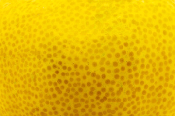 Yellow citrus fruit peel close-up texture background
